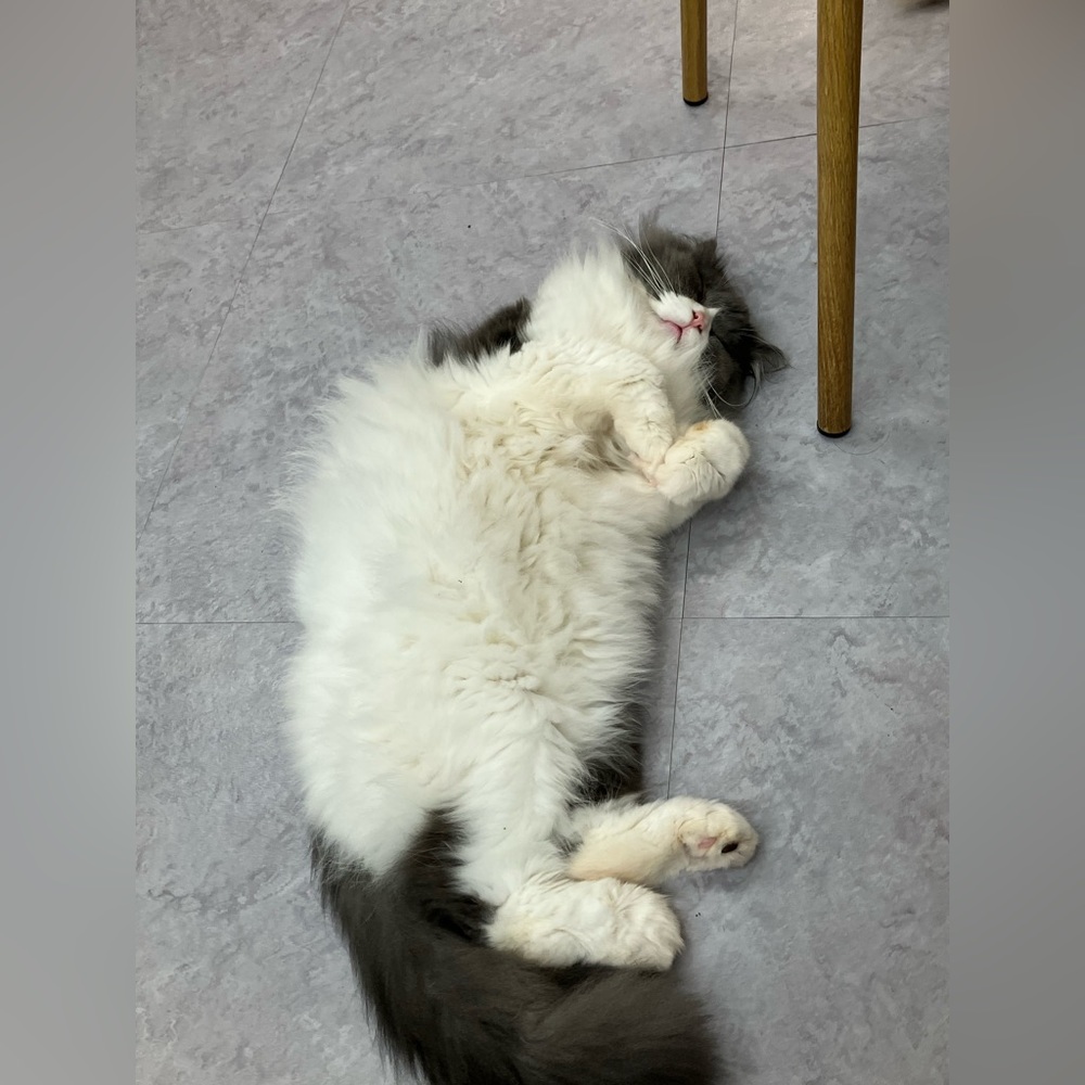 Meet your Posher, Maribel